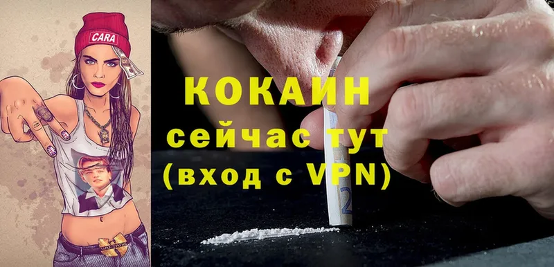 магазин продажи   Карпинск  COCAIN Fish Scale 