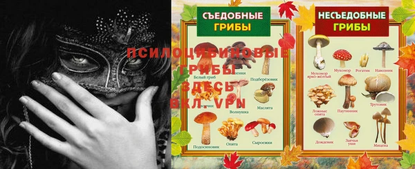 кокаин Белокуриха
